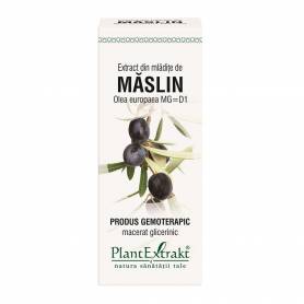 MASLIN - mladite - gemoderivat - 50ml - PlantExtrakt