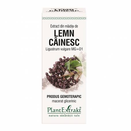 LEMN CAINESC - mladite - gemoderivat - 50ml - PlantExtrakt