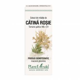 TAMARIX - CATINA ROSIE - mladite - gemoderivat - 50ml - PlantExtrakt