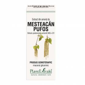 MESTEACAN PUFOS - amenti - gemoderivat - 50ml - PlantExtrakt