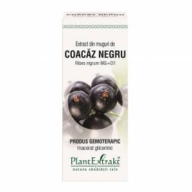 Coacaz Negru - muguri - gemoderivat - 50 ml - PlantExtrakt