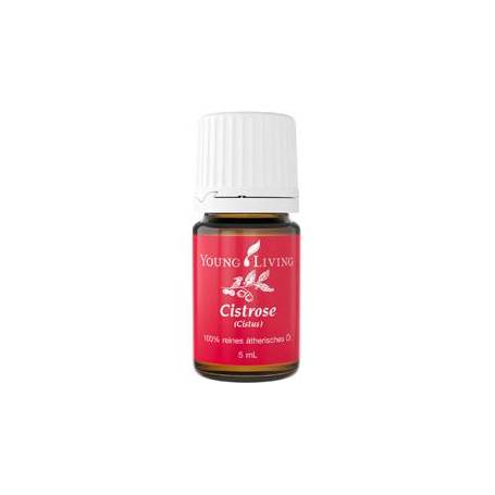 Ulei esential de Cistus 5ml - Young Living