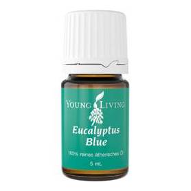 Ulei esential de Eucalipt albastru 5ml - Young Living