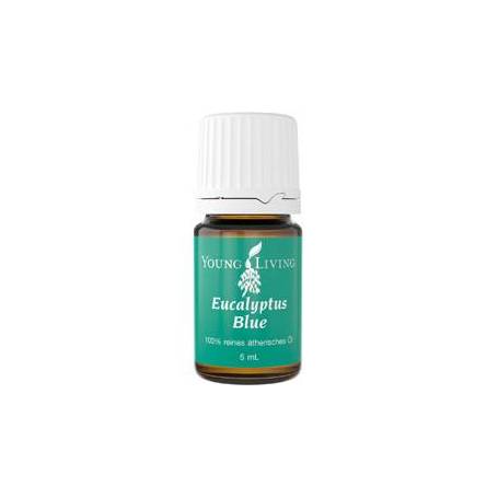 Ulei esential de Eucalipt albastru 5ml - Young Living