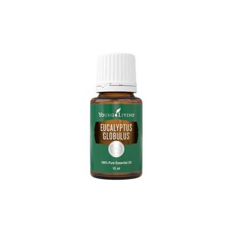 Ulei esential de Eucalipt Globulus 15ml - Young Living