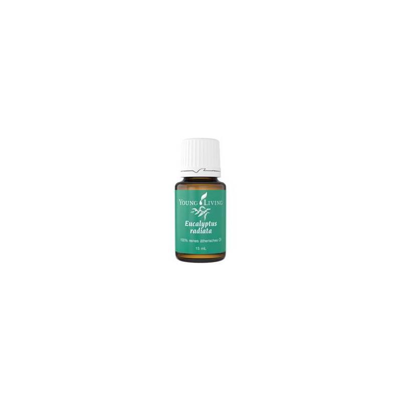 Ulei esential de Eucalipt Brazilian, 10 ml, Dvr Pharma