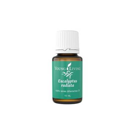 Ulei esential de Eucalipt Radiata 15ml - Young Living