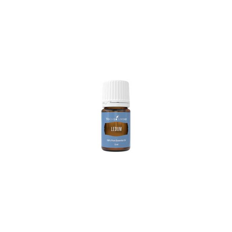 Ulei esential de Ledum (rozmarin salbatic) 5ml - Young Living