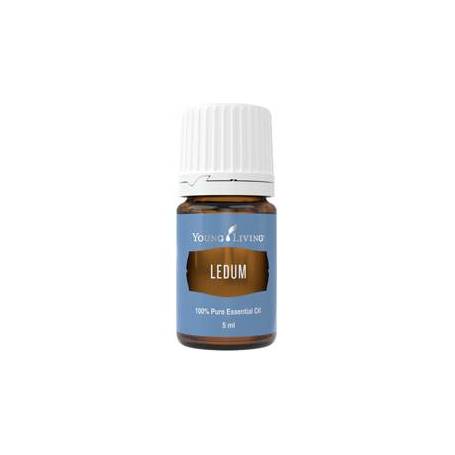 Ulei esential de Ledum(rozmarin salbatic) 5ml - Young Living