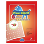 Plasture Antireumatic Hot 12x18cm, 1buc - Fl Medical
