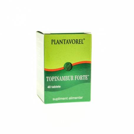 Topinambur Forte, 40tbl - Plantavorel