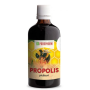 Propolis tinctura - 100ml - PARAPHARM