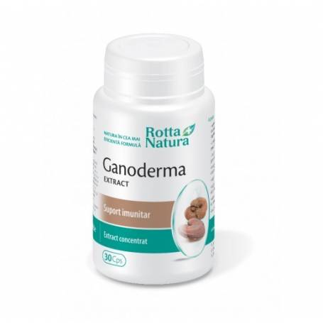 Ganoderma Lucidum extract 500mg 30cps - Rotta Natura