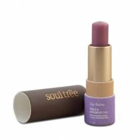 Balsam buze cu Violete si unt de Kokum, 3.5g - Soultree