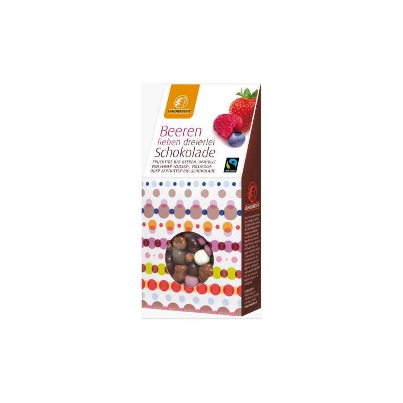 Fructe de padure in mix de ciocolata, Berry-Mix in chocolate,