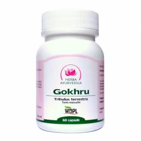 Gokhru 450mg, 60cps - Herba Ayurvedica