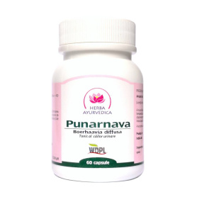Punarnava, tonic al cailor urinare 500mg, 60cps - Herba Ayurvedica