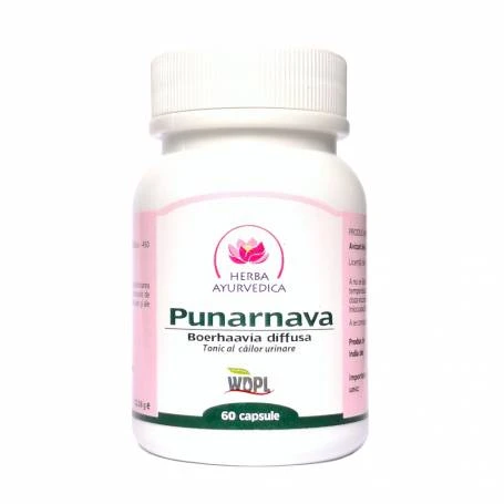 Punarnava, tonic al cailor urinare 500mg, 60cps - Herba Ayurvedica