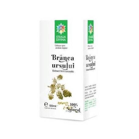 Tinctura de Branca Ursului, 50ml - Steaua Divina