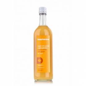 Sirop de lamaie si ghimbir, eco-bio, 750ml - Harmonica