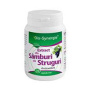 Extract din samburi de struguri, 30cps - Bio Synergie
