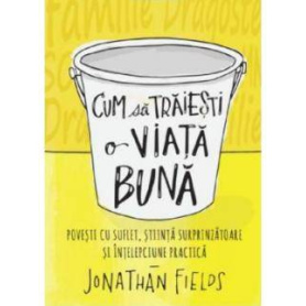 Cum sa traiesti o viata buna, Jonathan Fields - carte - Litera