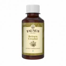 Tinctura Branca Ursului 200ml - Faunus Plant 