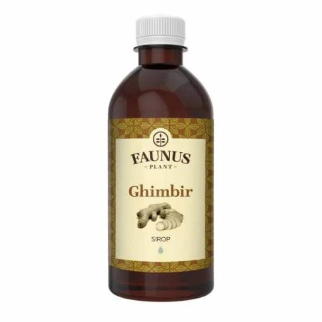 Sirop de Ghimbir, 500ml - Faunus Plant