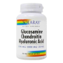Glucosamine Chondroitin Hyaluronic Acid 90tb - Solaray - Secom
