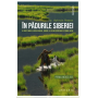 In padurile Siberiei - Sylvain Tesson - carte - Editura Philobia