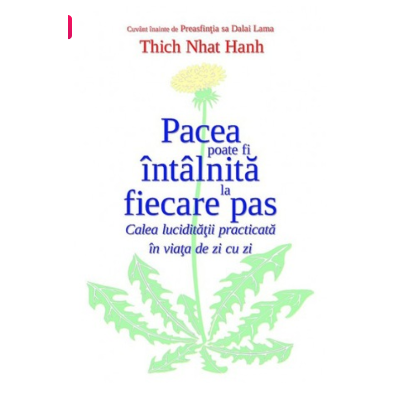 Pacea poate fi intalnita la fiecare pas - Thich Nhat Hanh - Adevar