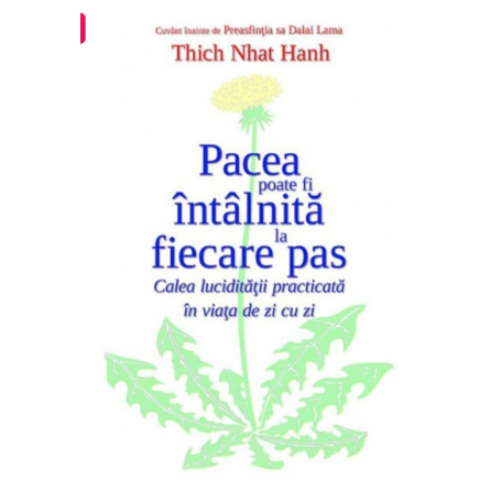 Pacea poate fi intalnita la fiecare pas - Thich Nhat Hanh - Adevar Divin