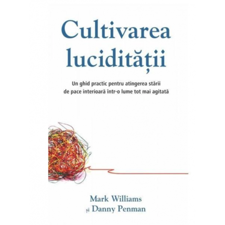 Cultivarea luciditatii, Mark Williams si Danny Penman - Adevar Divin