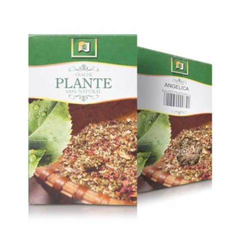 Ceai de Angelica vrac, 50g - StefMar