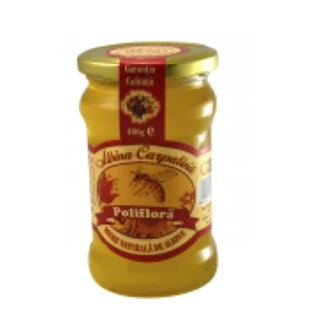 Miere Poliflora 400g - Apicola Pastoral Georgescu