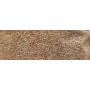 Quinoa 300g - Phytopharm