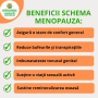 Schema pentru bufeuri si simptome din Menopauza