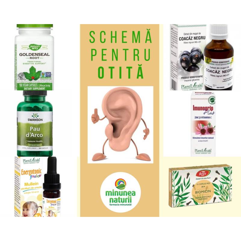 Schema otita - tratament natural adulti