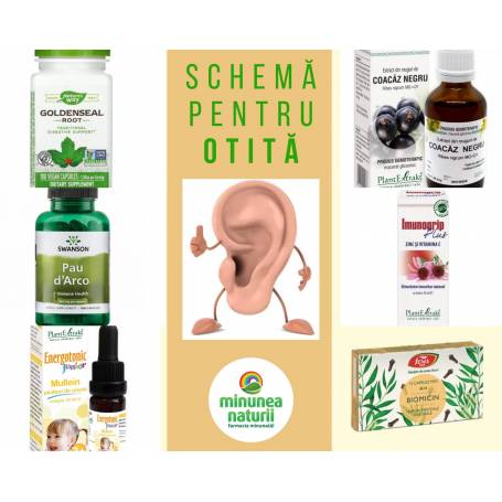 Schema otita - tratament natural adulti