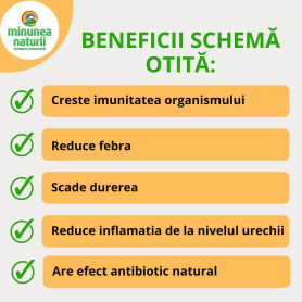 Schema otita - tratament natural adulti