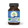 Bowelcare - balonare si tranzit intestinal - 60cps veg - ORGANIC INDIA