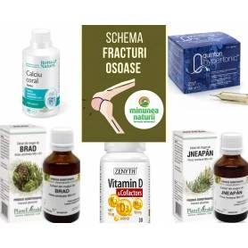 Schema vindecarea mai rapida a fracturilor si fisurilor osoase sau OSTEOPENIE - OSTEOPOROZA