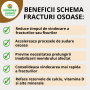 Schema vindecarea mai rapida a fracturilor si fisurilor osoase sau OSTEOPENIE - OSTEOPOROZA