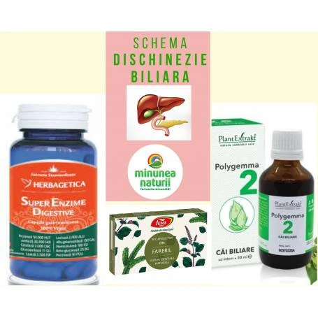 Schema dischinezie biliara tratament vezica biliara lenesa