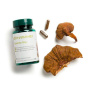 Reishi Max GLp - Extract de Ganoderma lucidum 82%, 500mg, 60 capsule, Pharmanex