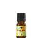 Ulei esential de Seminte de Morcov, 5ml - Mayam