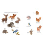 Gradinita distractiva: Exploram natura - Carte - Editura DPH