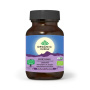 Scortisoara Zeylanicum (Ceylon), Antioxidant si reglarea Glicemiei, 60 capsule, ORGANIC INDIA