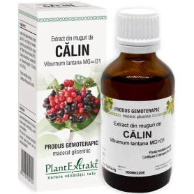 CALIN - muguri - gemoderivat - 50ml - PlantExtrakt