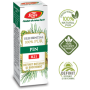 Ulei esential Pin, R21 - 10ml - Fares
